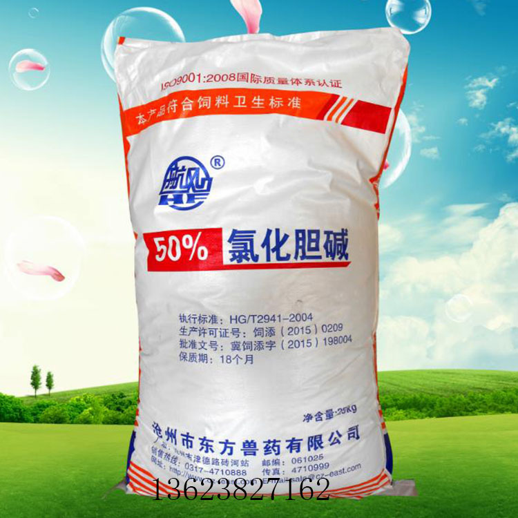 现货供应50%饲料级氯化胆碱 二氧化硅 饲料添加剂  宠物畜禽用