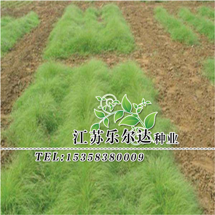 未命名_副本1_副本1