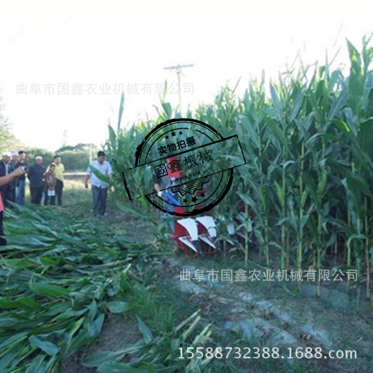 阆中稻麦打捆收割一体机 小麦水稻割捆一体机