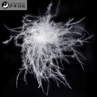 ��q�S�� �������90���Z�q������ �_�˚W���՘�90��q