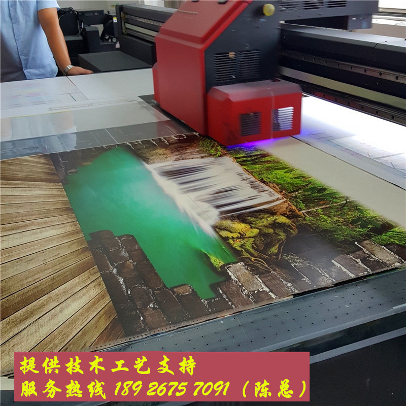 3519659235_736112104_����_����