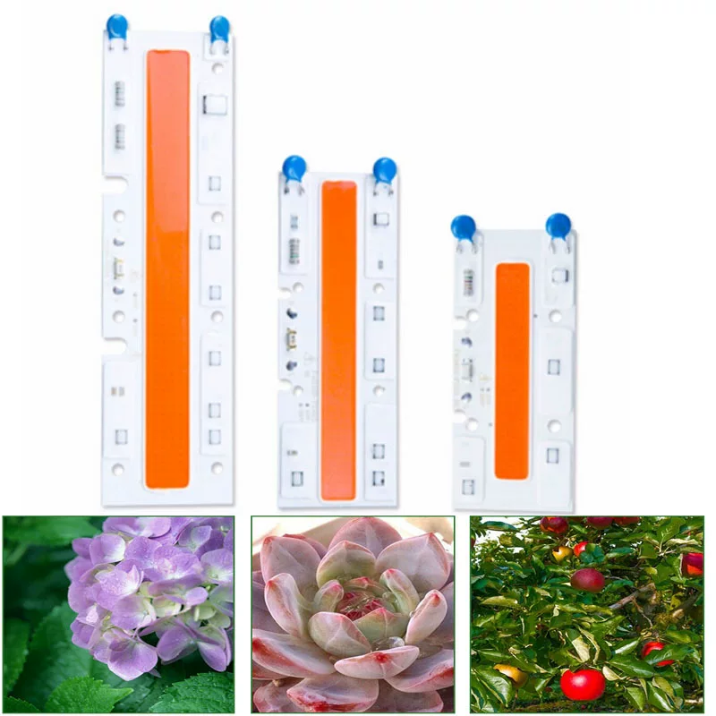 Plant lamp, light source, 30W, 70W, comfortable light spectrum, 220v