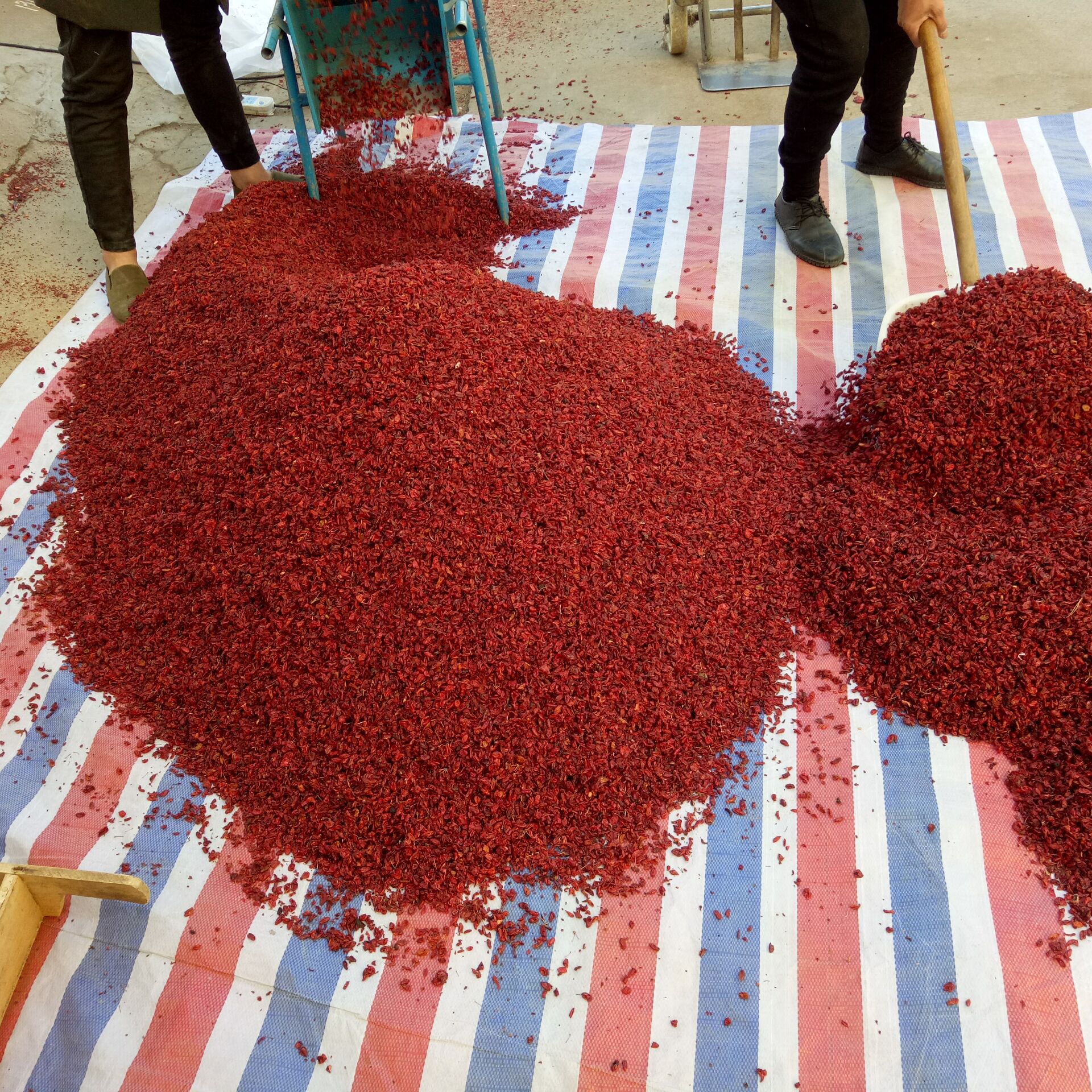 Cornus Fruit Shan Zhu Yu 山茱萸 Dried Asiatic Dogwood Fruit 500g Traditional TCM Herb in use