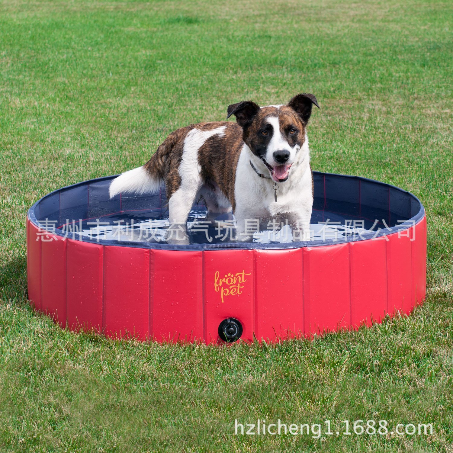 91xAb2grdCL._SL1500_