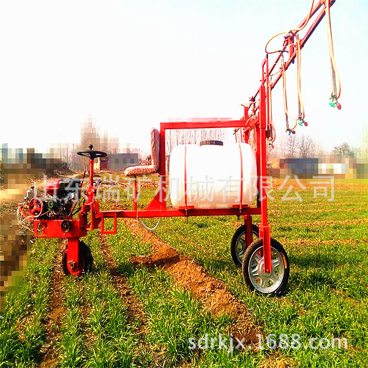 257298179236312899_����