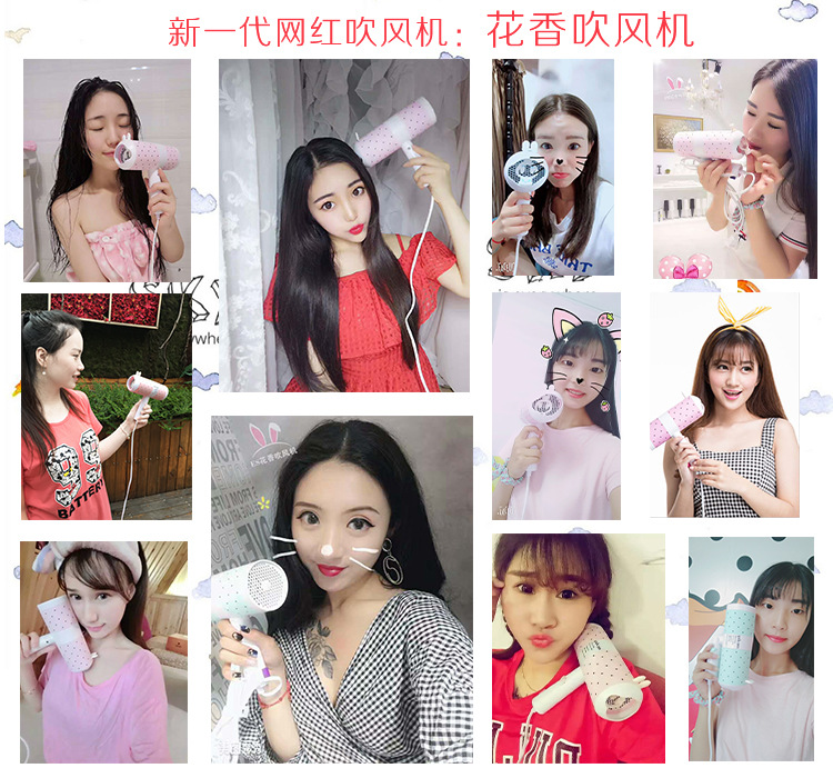 花香吹风机展示图