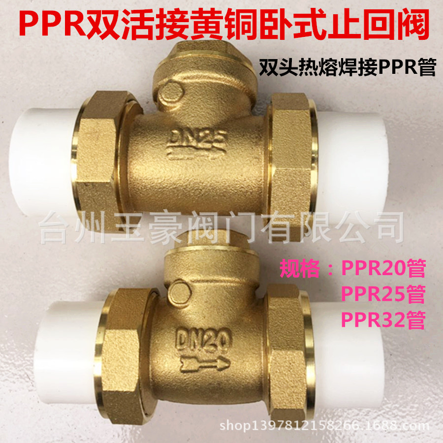 PPR管止回阀