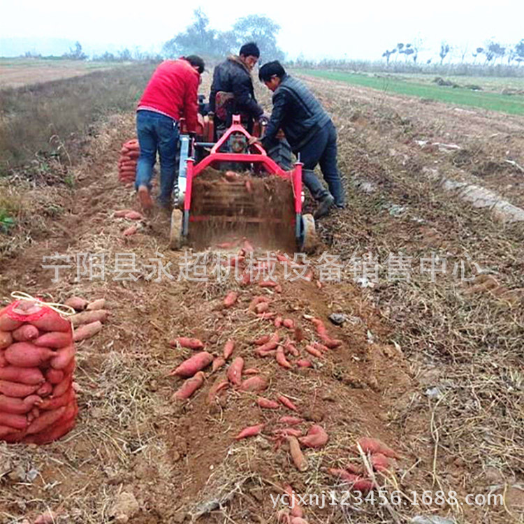 土豆地瓜收获机四轮车带洋葱根茎类收获机拖拉机后中置薯类收获机