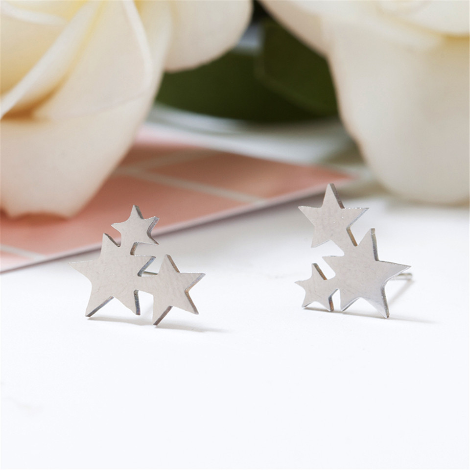 Fashion Star Stainless Steel No Inlaid Earrings Ear Studs display picture 3