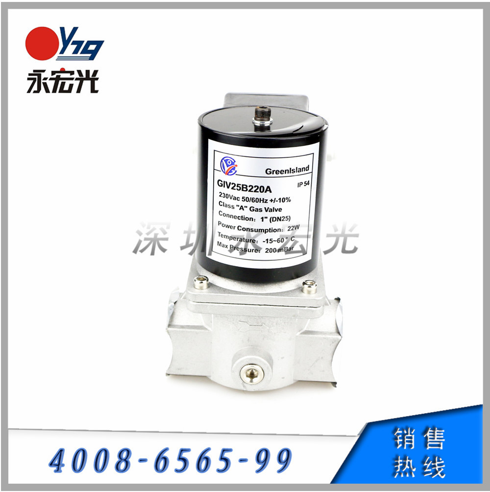 GIV25B220A 焚化炉燃气22W电磁阀润欧GREENLSLAND