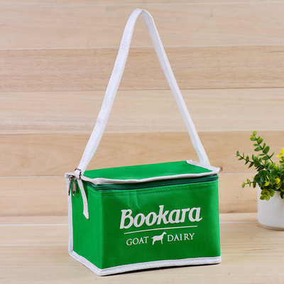 direct deal Take-out food thickening Easy Insulation package Customized Printing environmental protection portable Fresh keeping Ice pack Can be printed log