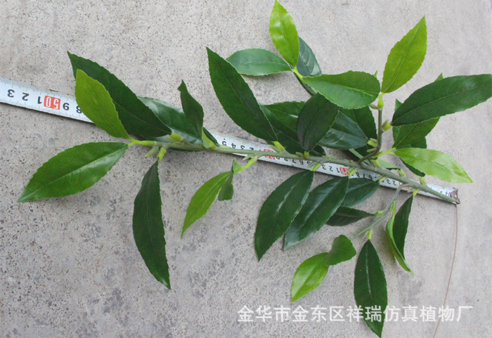 XRB-163新桂花四叉枝立体5