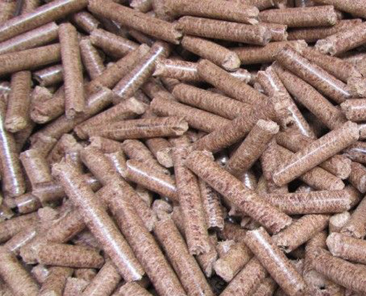 11081710306179e6a281980c77