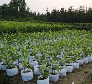 u=3153184182,1572416580&fm