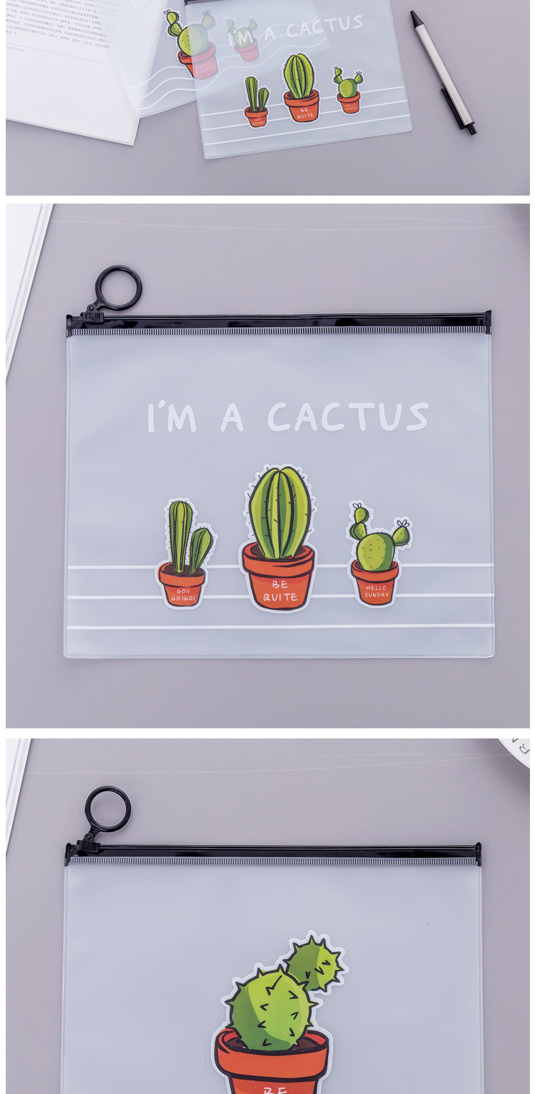 File Transparent Frosted Cactus Large Capacity Student Stationery Pencil Case display picture 4