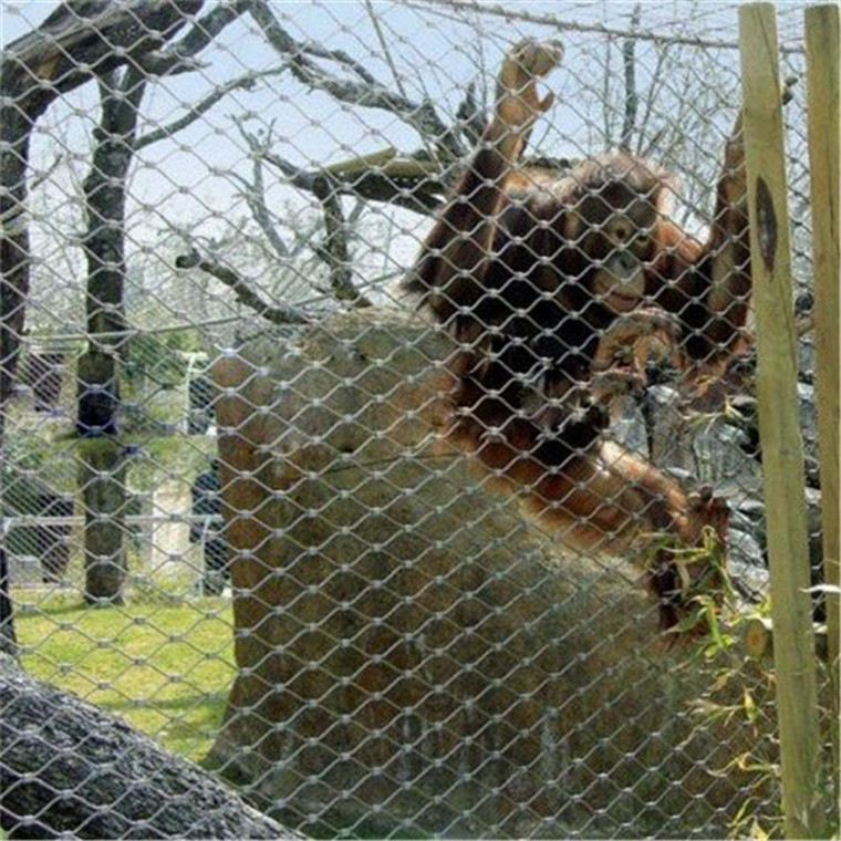 柔性编织防护网 动物园专用护鸟网厂家现货防逃防逃逸