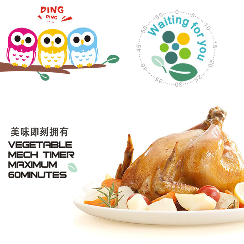 RB217猫头鹰定时器02