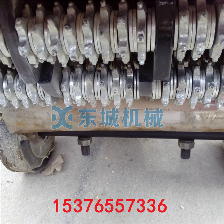 569118647293681761_副本