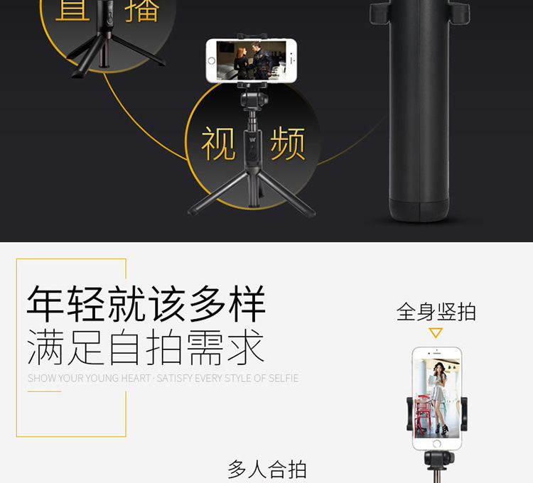 Bâton selfie en Acier inoxydable - Ref 3386835 Image 17