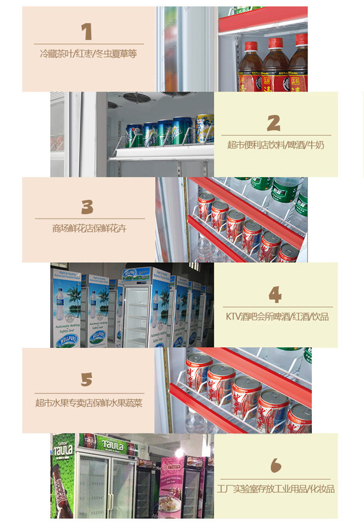 饮料展示柜 (6)