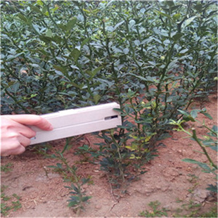 �L�ڹ���  ������ ������Ʒ�N �����箔��r�� ������Ʒ�N