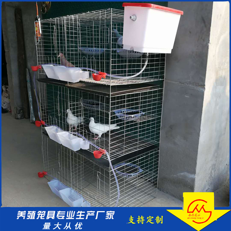 6位鸽笼原版 (4)