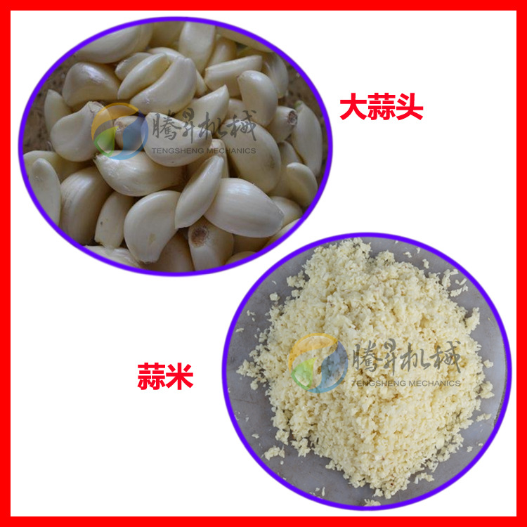蒜头切碎 拷贝