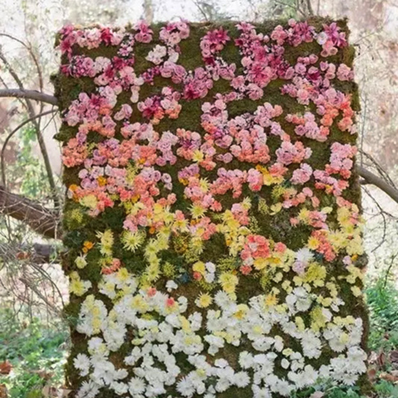 ����רҵ������������ǽ��ɴ������װ������ǽ��������