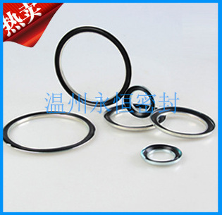 GAMMA密封件电机旋转端面油封TBP/RB TBR/9RB旋转轴封