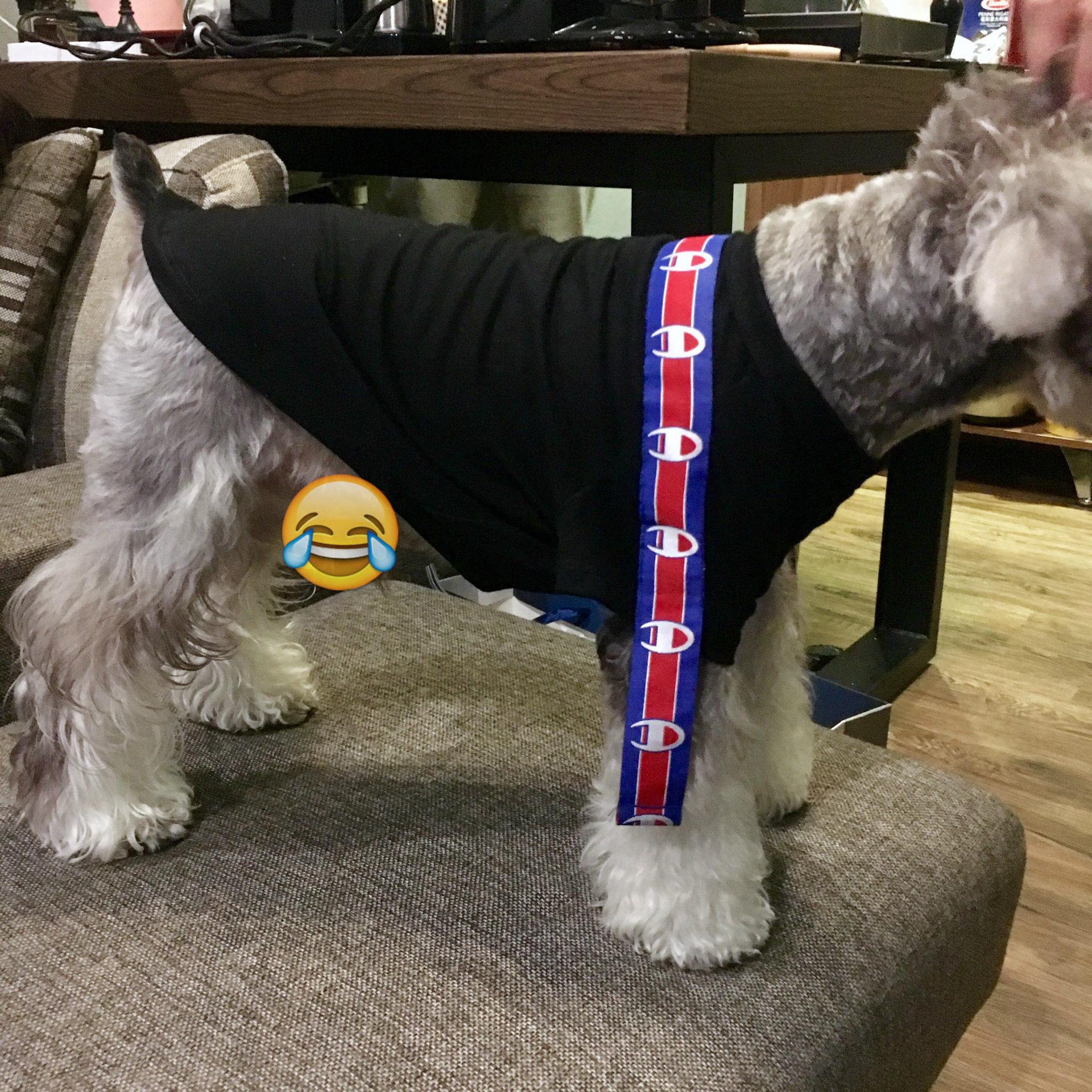 201704281830291111111