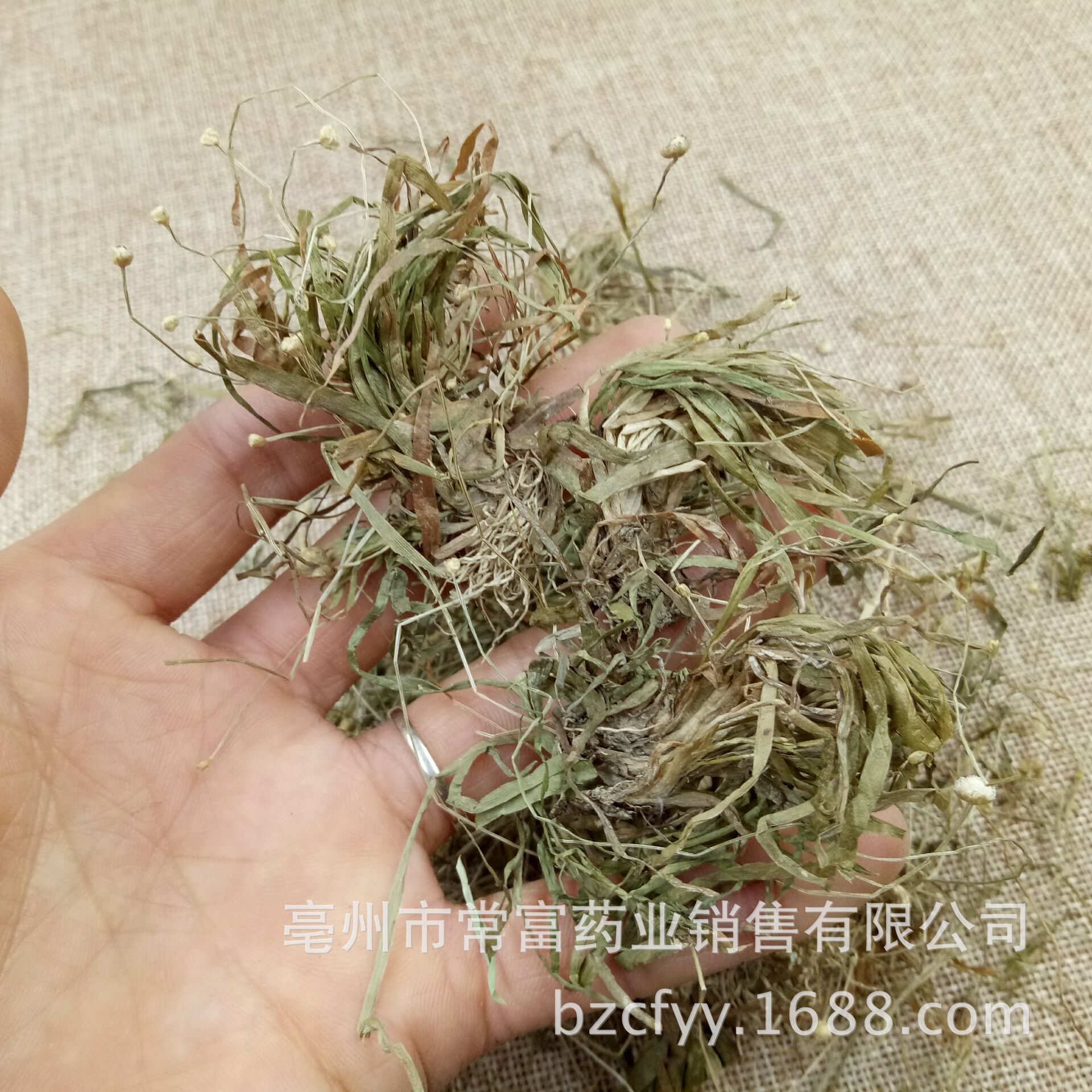 Dried Eriocaulon Flower Buds Gu Jing Cao Whole Herb 500g Traditional Chinese Herbal Tea Ingredient key features