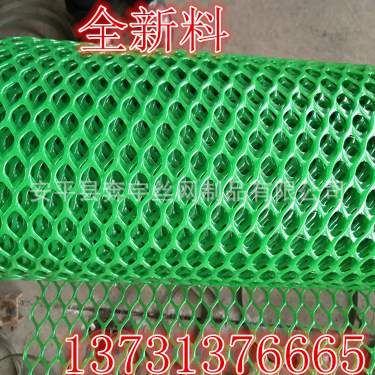 厂家供应养鸡绿色圆孔塑料网塑胶网多种规格养殖漏粪网格网鸡床网