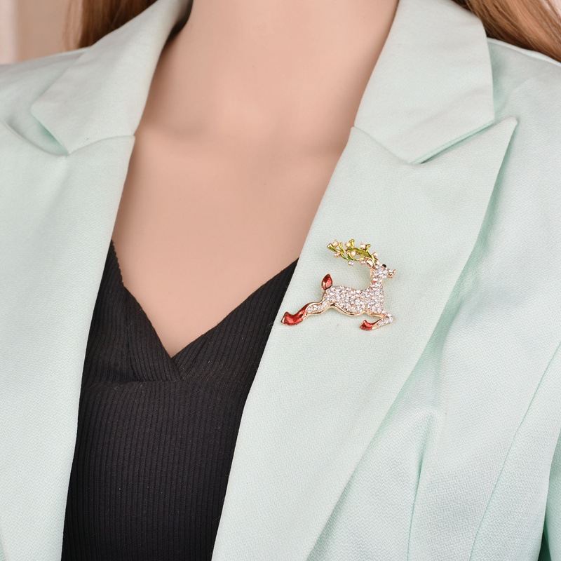 5171500169_1208020529