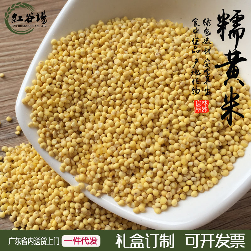 黑土地大黃米糯米孕婦嬰幼兒月子黍米批發500g 五谷雜糧壹件代發