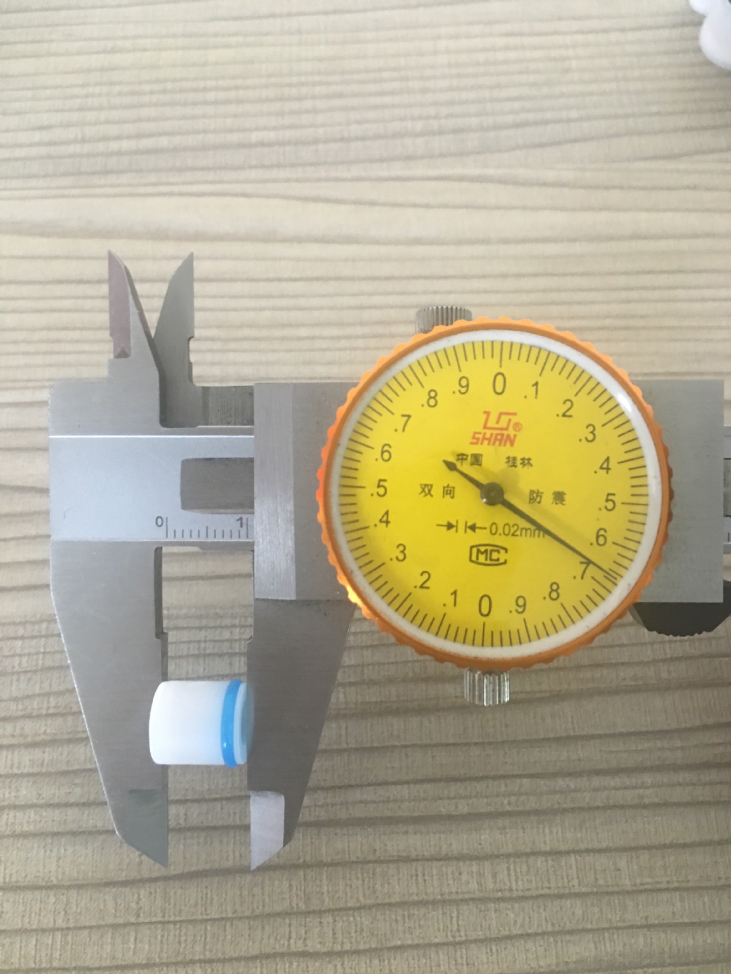 IMG_9124(20170408-161621)