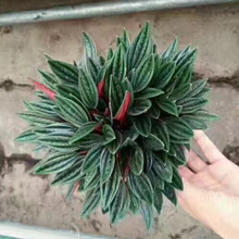 ����ֱ�N90�t��ʹ�҃��^�~���� ���� �����՚�Gֲ