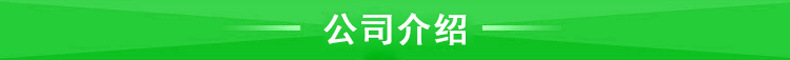 公司介绍