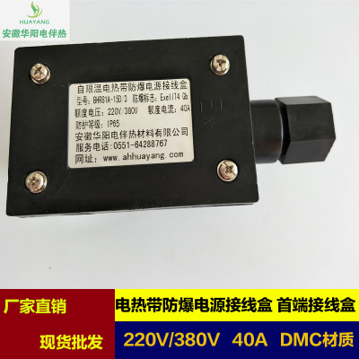 Huayang supply Temperature control With tropical explosion-proof source Junction box XKD-2 Heat tracing cable Power Terminal Block