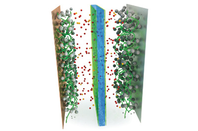 PVDF1