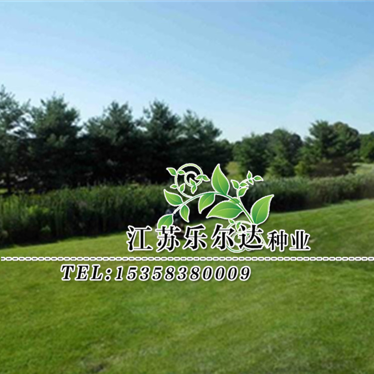 未命名_副本4_副本1