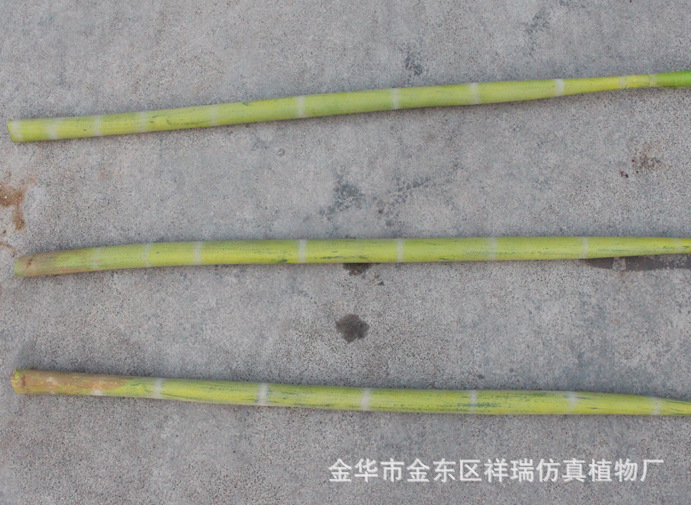 鍗曟灊鐢樿敆鍙??.8绫??