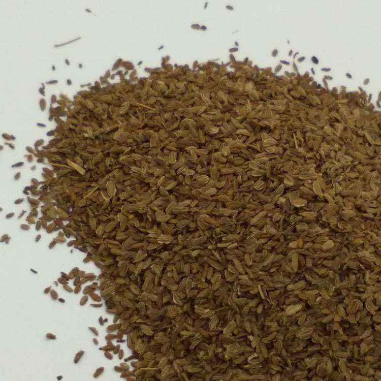 Low Temperature Baked Carrot Seed Powder Hu Luo Bo Zi for Five Grain Mixes and Herbal Blends key features