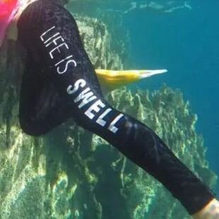 ��ӾѝŮʿ����\��ѝ�Lѝ��Ӿ�٤ѝŮ�_�˸����Lѝ��