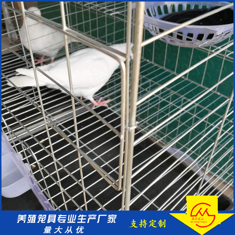 6位鸽笼原版 (2)