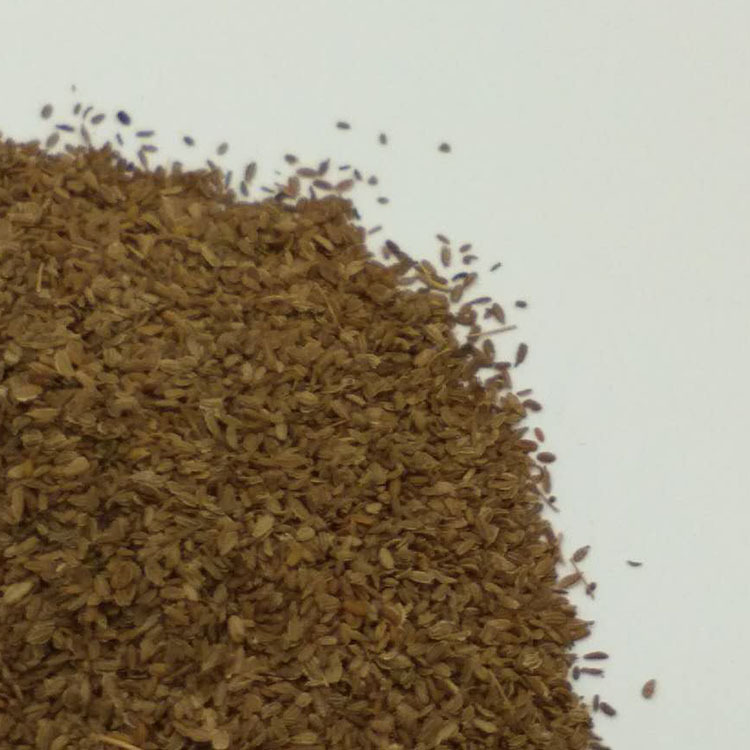 Low Temperature Baked Carrot Seed Powder Hu Luo Bo Zi for Five Grain Mixes and Herbal Blends quality and texture