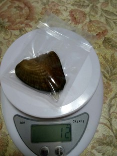 һ�����w������հ��b����С�����͑�Ҫ��Ҏ���� �S��ֱ�N