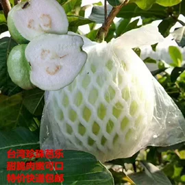 非处方滋补膏;其他果干蜜饯;其他药食同源