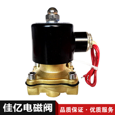 厂家直接供应黄铜材质两位两通电磁阀2W-160-15直动式电磁阀|ms