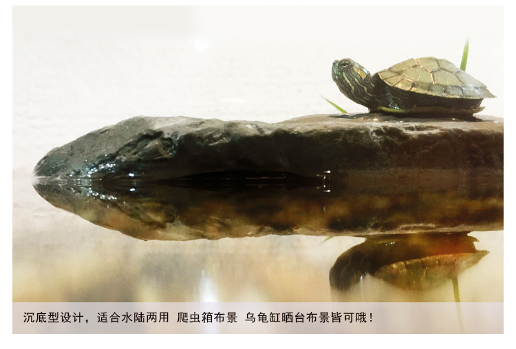 爬宠躲避树脂_10