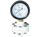 YTP-75S全塑隔膜压力表